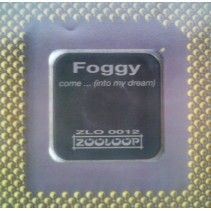 Foggy ‎– Come Into My Dream (ZOOLOOP)