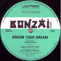 Dream Your Dream ‎– Soushkin