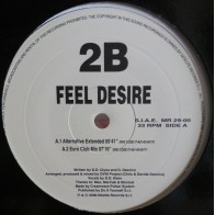 2B ‎– Feel Desire
