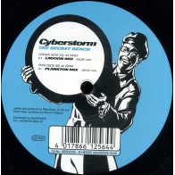 Cyberstorm ‎– The Secret Beach 