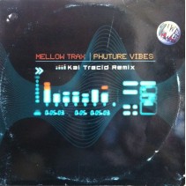 Mellow Trax ‎– Phuture Vibes