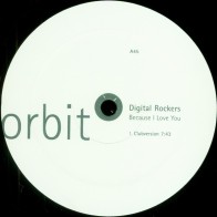 Digital Rockers - Because I Love You