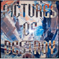 Pictures Of Destroy ‎– Pictures Of Destroy 