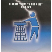 Signum - What Ya Got 4 Me (REMIX UNTIDY)