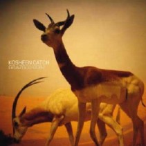 Kosheen - Catch
