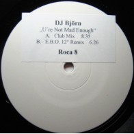 DJ Bjorn - U're Not Mad Enough 