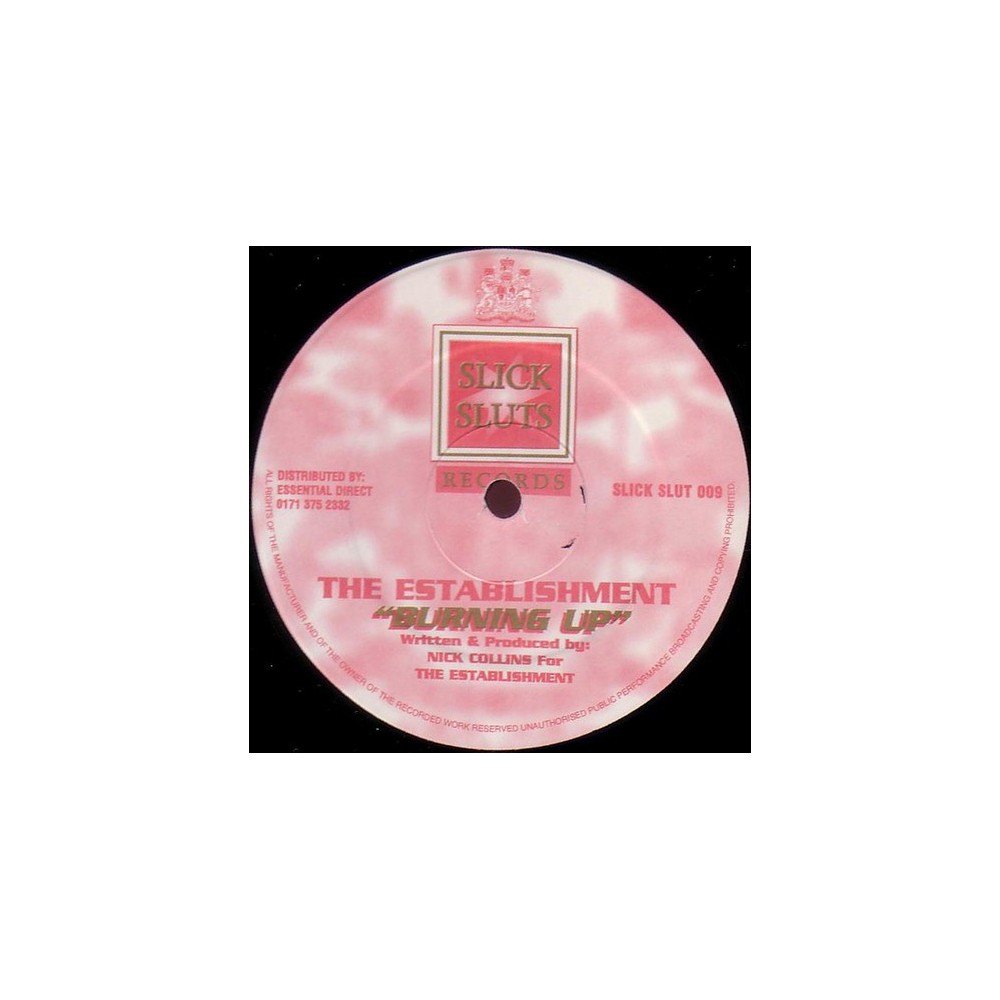 The Establishment ‎– Burning Up