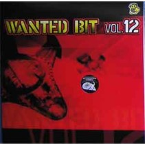Wanted Bit Vol. 12 