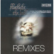 Flutlicht ‎– The Fall (Remixes) 