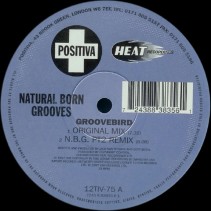Natural Born Grooves - Groovebird (POSITIVA)