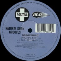 Natural Born Grooves - Groovebird (POSITIVA)