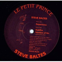 Steve Baltes - Exxperience