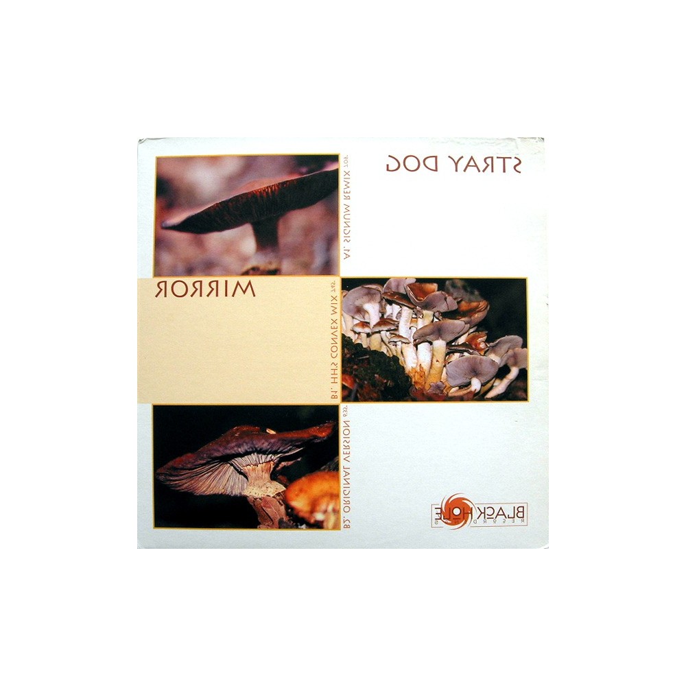 Stray Dog ‎– Mirror 