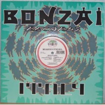 Magnetical ‎– Skyjacked 