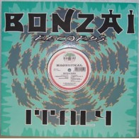 Magnetical ‎– Skyjacked 