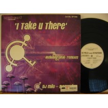 DJ Milo meets DJ Rayden ‎– I Take U There 