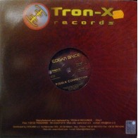 Edgar Brice - Visible Connection