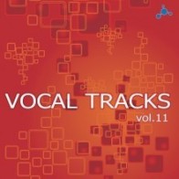 Vocal Tracks EP Vol.11 