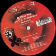Mario Piu AKA DJ Arabesque ‎– Serendipity 