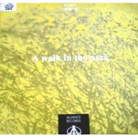 Copy-Write ‎– A Walk In The Park 