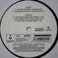 Green Court ‎– Shining / Trancefiguration