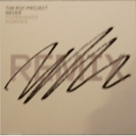 The Roc Project  – Never (CANTADO BRUTAL¡¡) - Filterheadz remixes