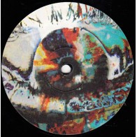 Sinéad O'Connor ‎– Troy (The Phoenix From The Flame) (The German Mixes) 