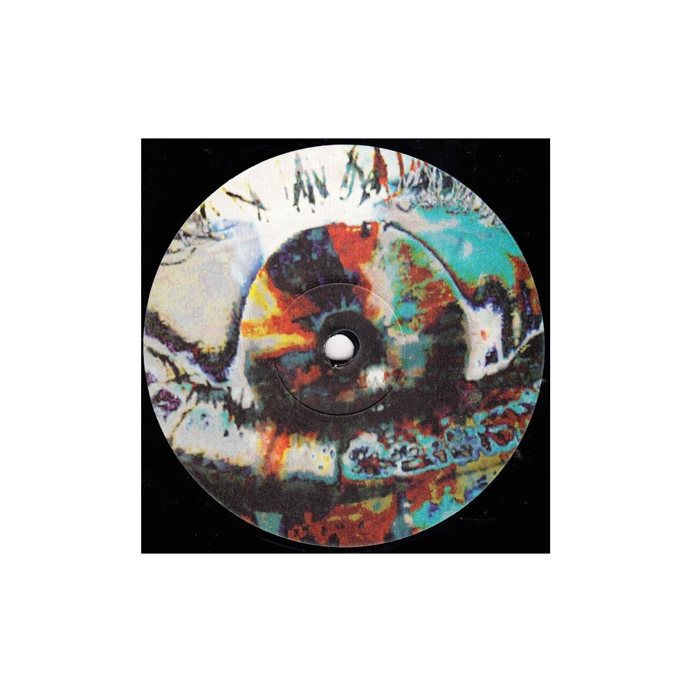 Sinéad O'Connor ‎– Troy (The Phoenix From The Flame) (The German Mixes) 