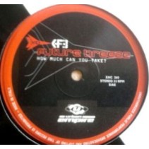 Future Breeze ‎– How Much Can You Take