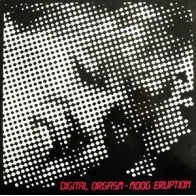 Digital Orgasm ‎– Moog Eruption 