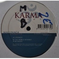 Mallinaga ‎– Eternity 