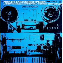 Andrew Richley & Ryan Rivera ‎– Protect Your Soul EP