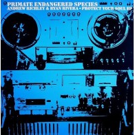 Andrew Richley & Ryan Rivera ‎– Protect Your Soul EP