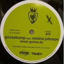 Goosebump ‎– Never Gonna Do