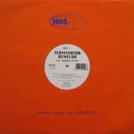 Terminator Benelux ‎– The Singing Synth 