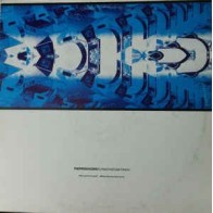 The Producers ‎– Flying The Funky Path 