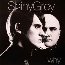 ShinyGrey ‎– Why (Wally Lopez Remixes) 
