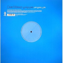 David Morales ‎– How Would U Feel 