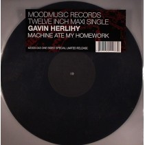 Gavin Herlihy ‎– Machine Ate My Homework