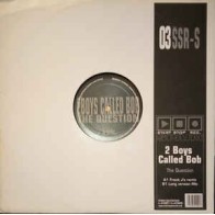 2 Boys Called Bob ‎– The Question 