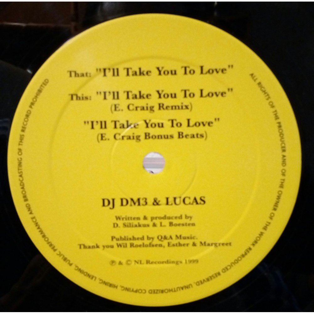DJ DM3 & Lucas ‎– I'll Take You To Love 