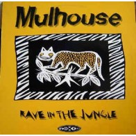 Mulhouse - Rave In The Jungle (BOY RECORDS)