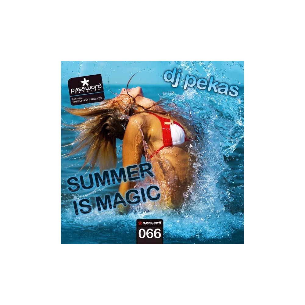 Dj Pekas - The Summer Is Magic(PASSWORD RECORDS)