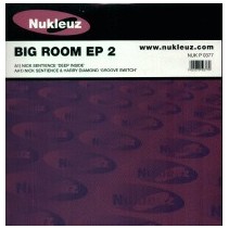 Nick Sentience & Harry Diamond ‎– Big Room EP 2 
