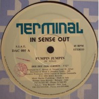 In Sense Out ‎– Pumpin Jumpin 