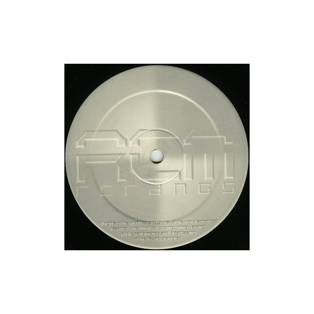 DJ Marlyn vs. Reverend Bee ‎– I Have Seen The Future 