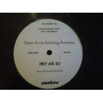Open Arms Featuring Rowetta ‎– Hey Mr DJ 