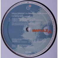 Misja Helsloot Vs Roland K Feat. Nicole ‎– A Different World