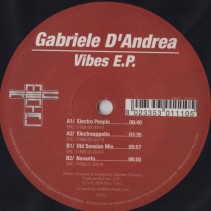 Gabriele D'Andrea ‎– Vibes EP