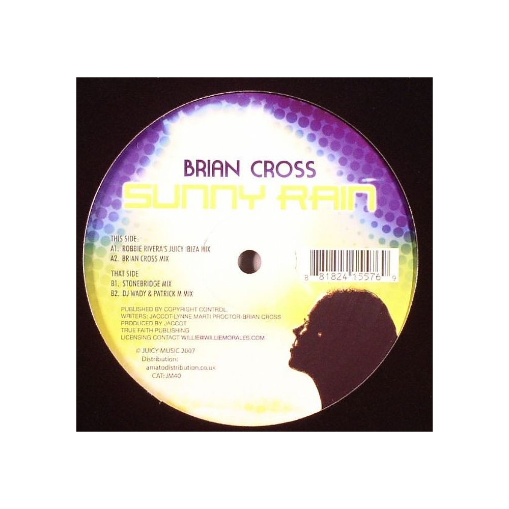 Brian Cross ‎– Sunny Rain 
